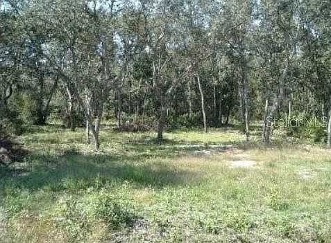 1st image of 413 NE 808TH STREET LOT 4