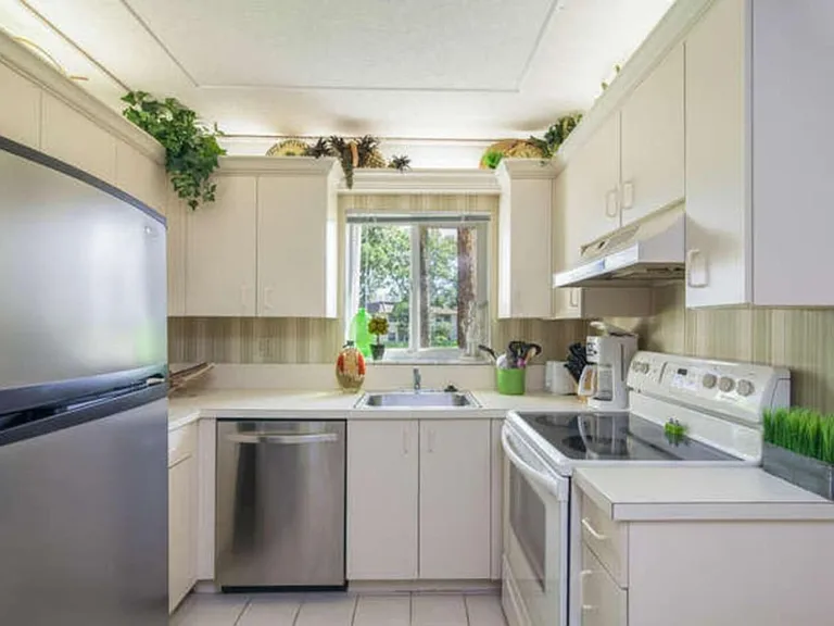 Palm Ave — Photo 8
