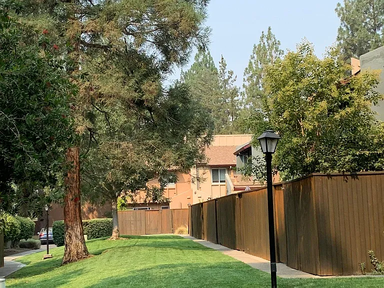 419 Alvarado Ave — Photo 19