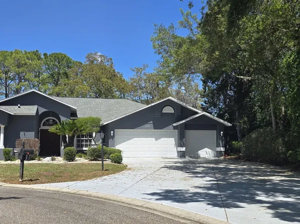 6545 Mulligan Ct, Spring Hill, FL 34606