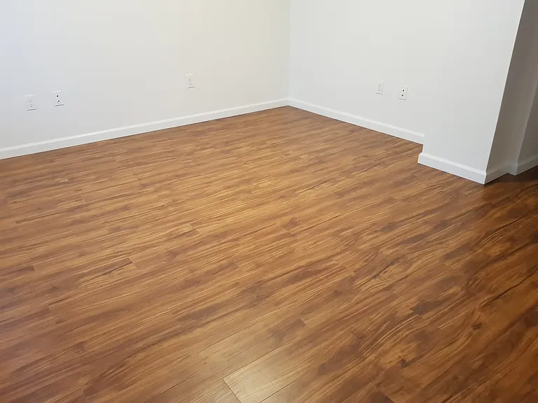 1508 Springwood Ave — Photo 19
