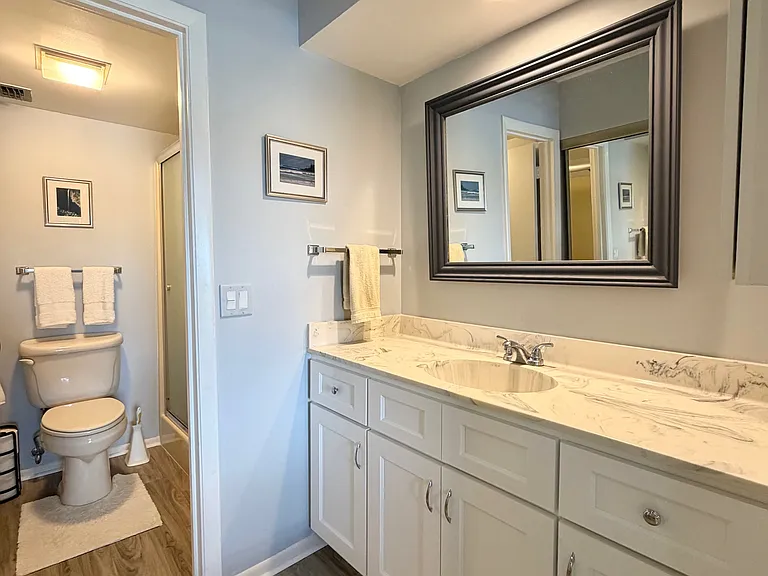 Primary Bathroom w/ upgraded vanity, vinyl plank floors & a walk-in shower!