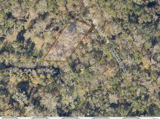 7 SW Riverside Ave, Fort White, FL 32038