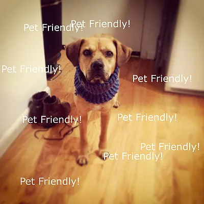 Rented by Linnaeus Group | media 20