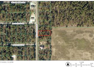 0 NW Buena Vista Rd #11, Dunnellon, FL 34431