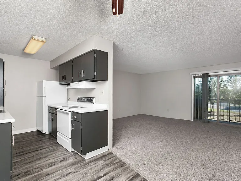 Open Kitchen and Living Area