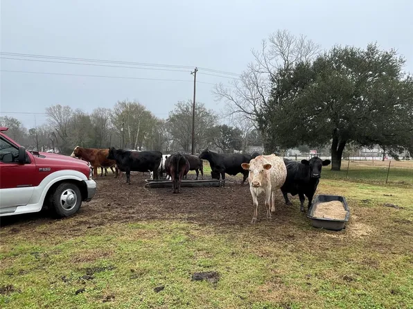 State Highway 321, Dayton, TX 77535