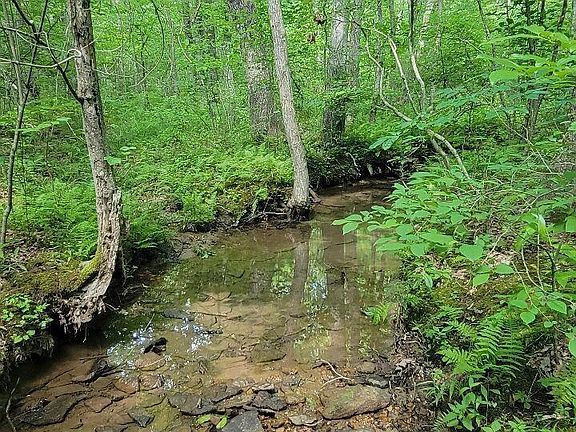 5th image of Leistner Dr