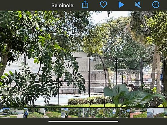Tennis courts from backyard 
