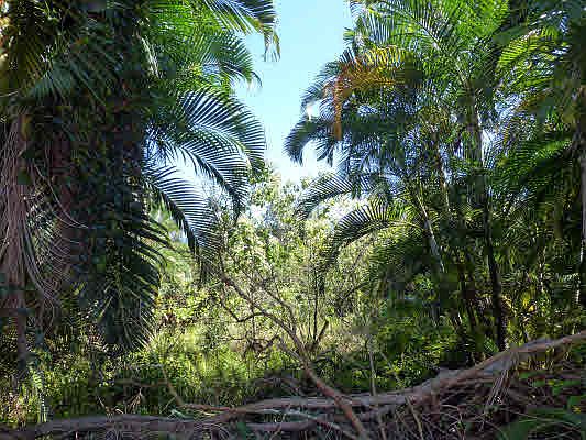 2nd image of Ocean View Pkwy Lot 869