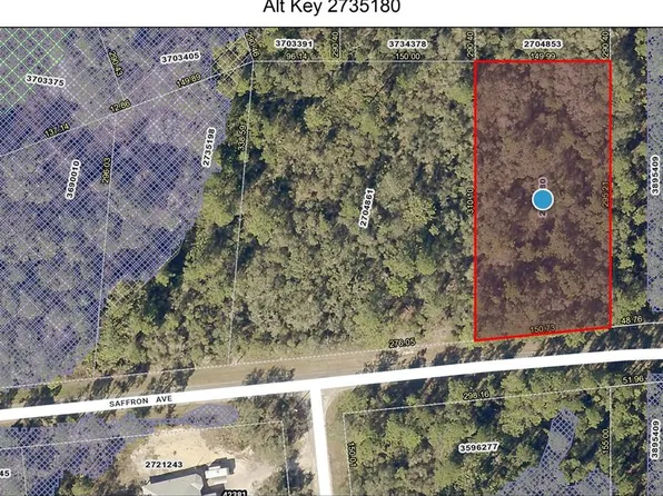 8 Saffron Ave, Eustis, FL 32736