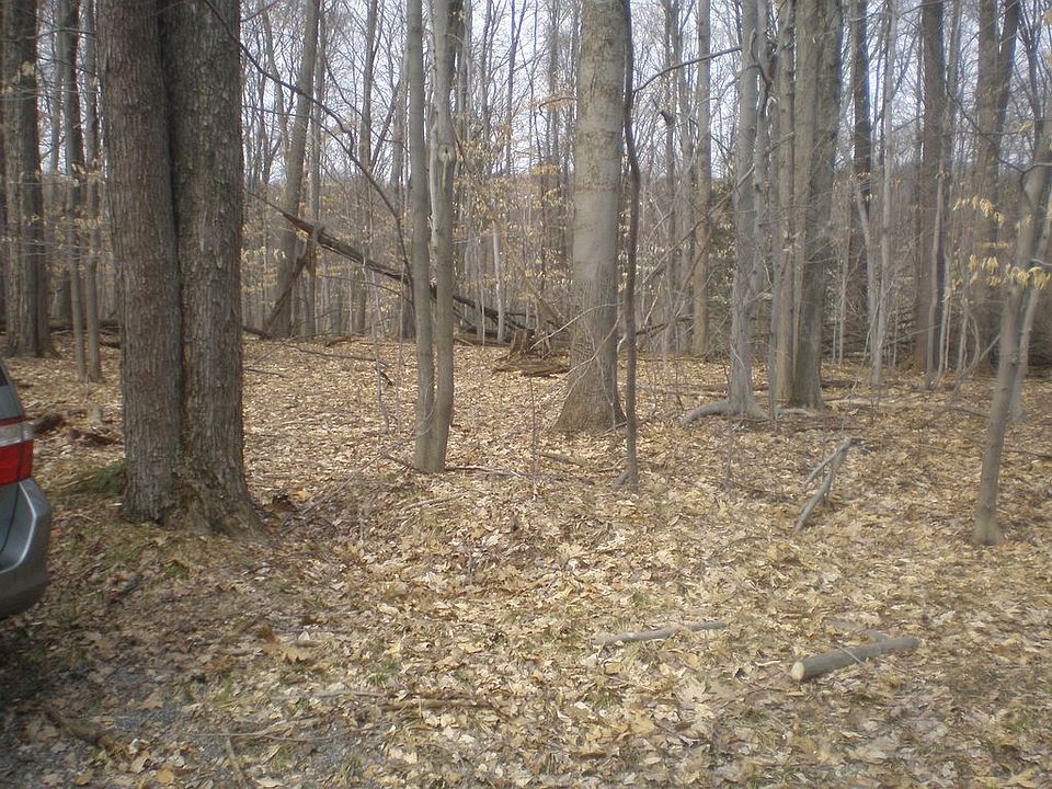 2nd image of Culebra Ct #728