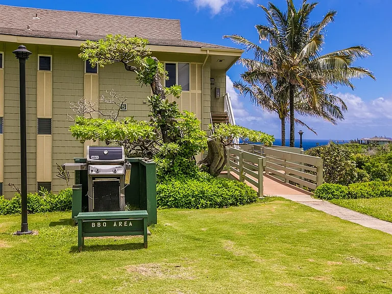 Edward Road Princeville Hi — Photo 10