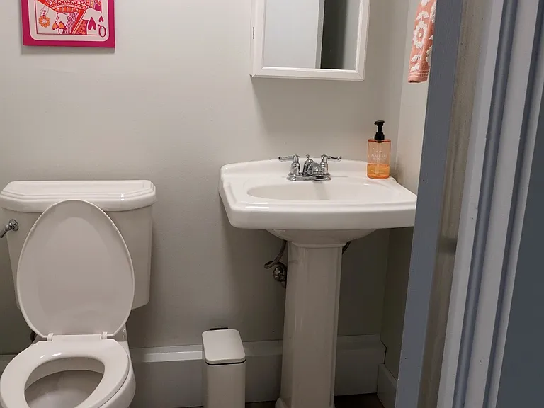 Lower Level Bathroom