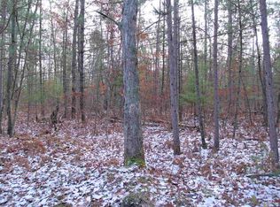 Goose Lake Rd, Indian River, MI 49749