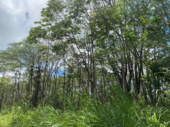 14-3525 Pikake Rd Lot 228, Pahoa, HI 96778