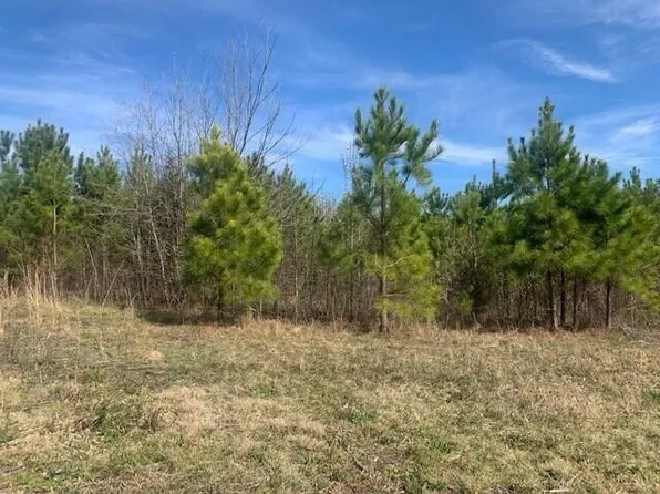 13 Highway 225 N, Chatsworth, GA 30705