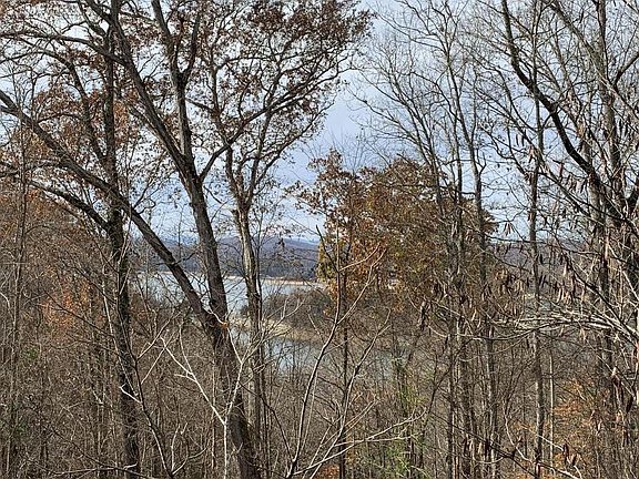 4th image of 0 Russell Brothers Rd Lot 732