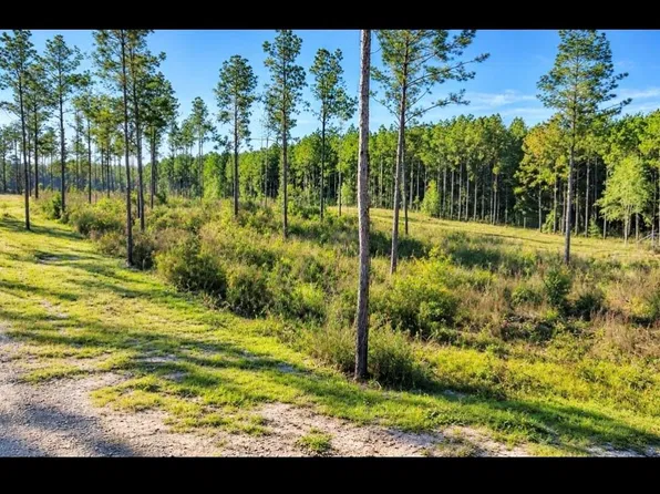 2 Blackbuck Dr, Moscow, TX 75960