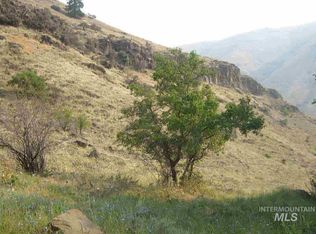 7 Devils Road Rd, Riggins, ID 83549