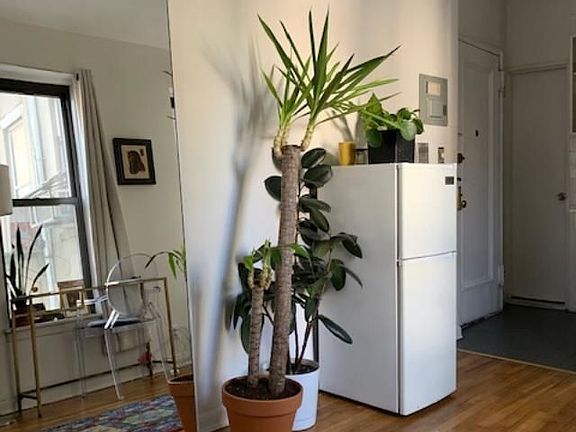 2nd image of 165 Mott St #3E
