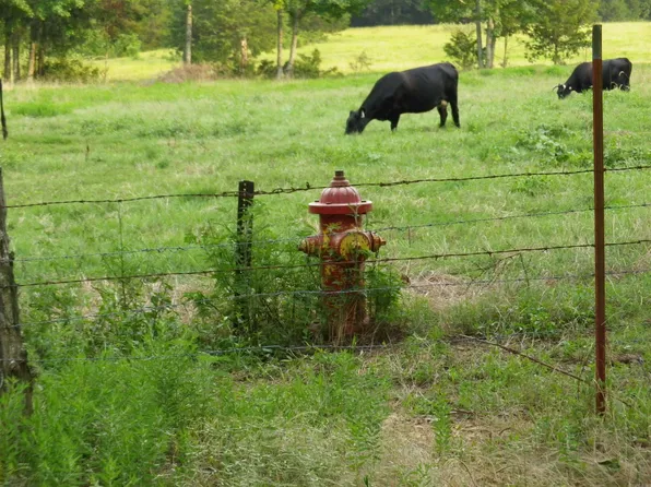79 Scratch Gravel Rd, Damascus, AR 72039