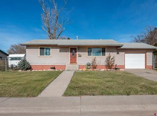 113 Vista View Drive, Montrose, CO 81401