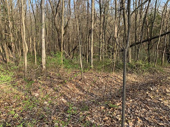 3rd image of 4424 Granite Ave