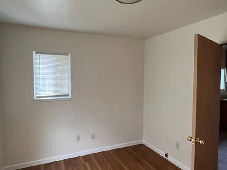 539 Palm St — Photo 15