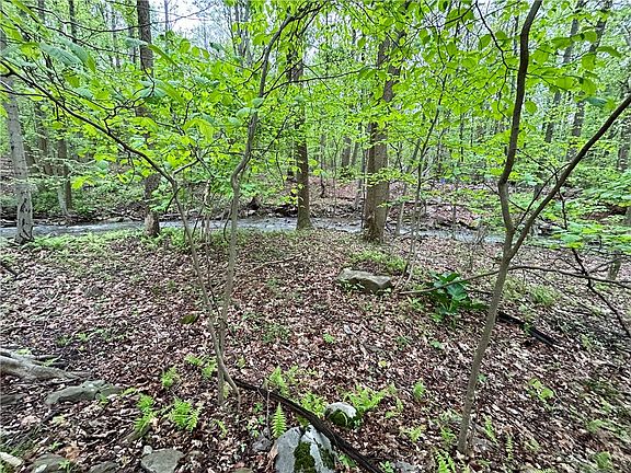 5th image of 999 Solomon Temple Rd