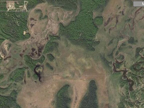 4th image of LOT C Road Willow #2