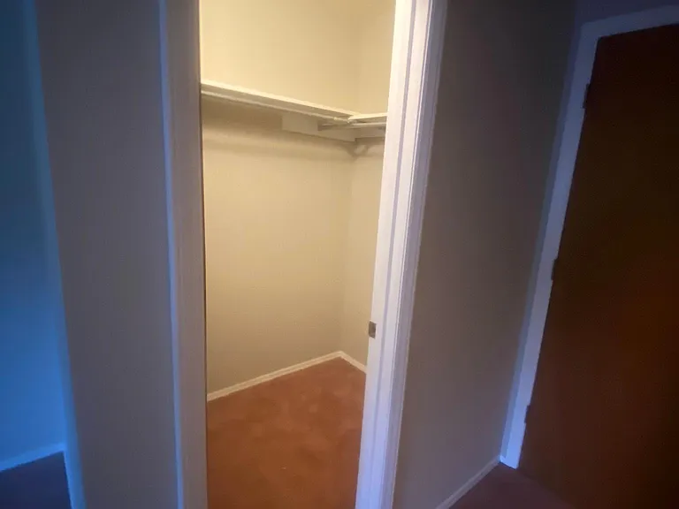 Master Bedroom Closet 1