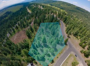 609 Migratory Rdg, McCall, ID 83638