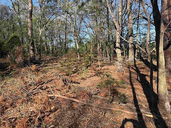 2nd image of LOT 5 County Road 476 S