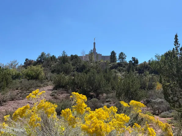 24 S Temple Cir, Snowflake, AZ 85937