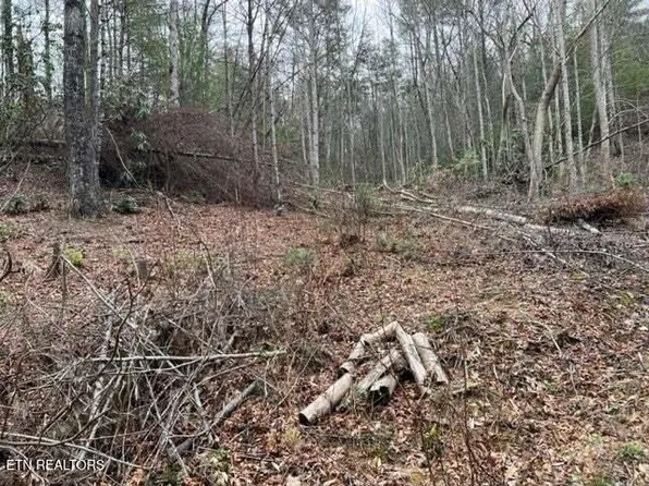 Coy Rhea Way, Sevierville, TN 37876