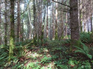 0 Tract State Rte S #1-101, Winlock, WA 98596