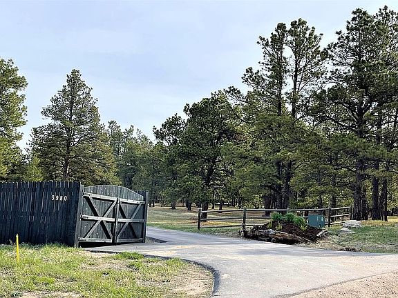 Driveway Entrance