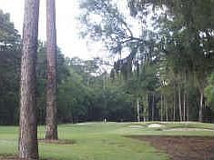Golf Views