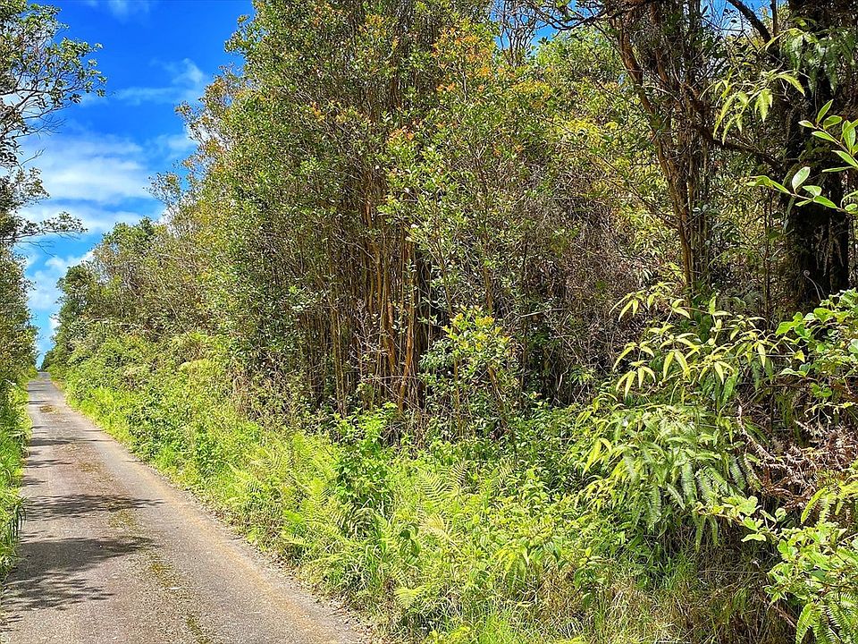 2nd image of Road 6 Nani #Wao