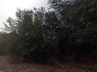 614 Longwood Ave Lot 10, Inverness, FL 34453