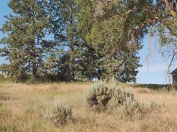 2nd image of 39681 Bluestem Road E