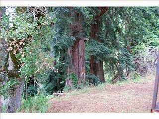 2nd image of 11895 La Honda Rd
