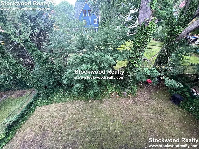 90 Lyndhurst St #5 — Photo 77