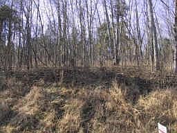 1st image of 0 Pond Dr Lot 74&75