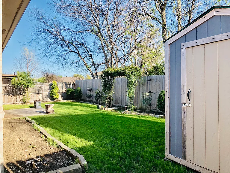 Backyard