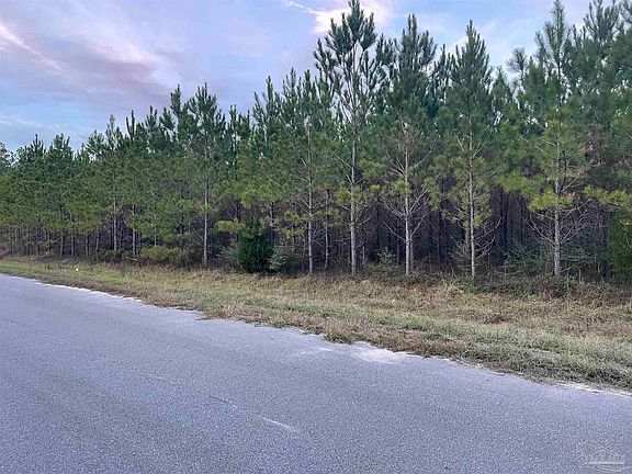 3rd image of LOT 52 Sage Forest Ln