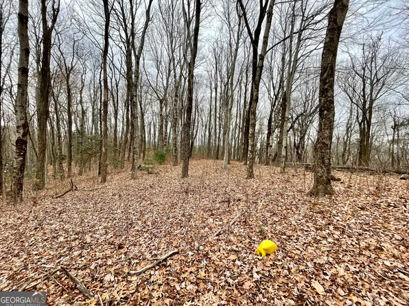 128 Locust Log Ln, Scaly Mountain, NC 28775