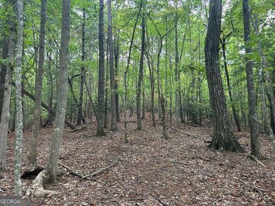 Hideaway Rdg, Blairsville, GA, 30512