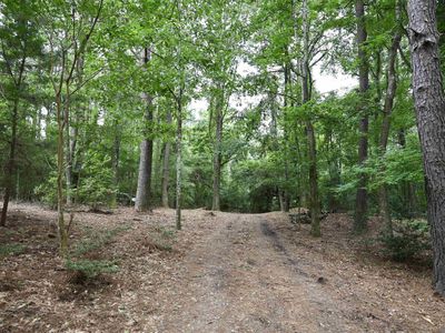 867 Cherryfield Rd, Woodville, MS, 39669